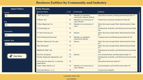 Business Entities by Community and Industry Power BI Report